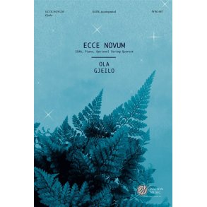 Ecce Novum