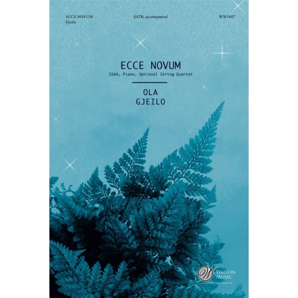 Ecce Novum
