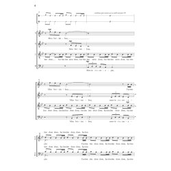 Meu Berimbau : Traditional Brazillian Capoeira