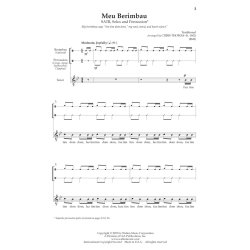 Meu Berimbau : Traditional Brazillian Capoeira