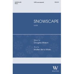 Snowscape