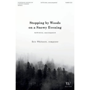 Stopping By Woods on a Snowy Evening