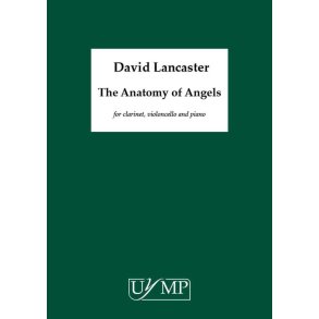 The Anatomy of Angels