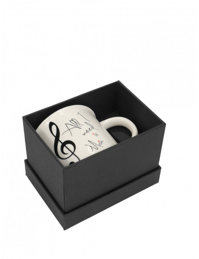 Mug ''All I need is music'' white 350 ML : with gift case