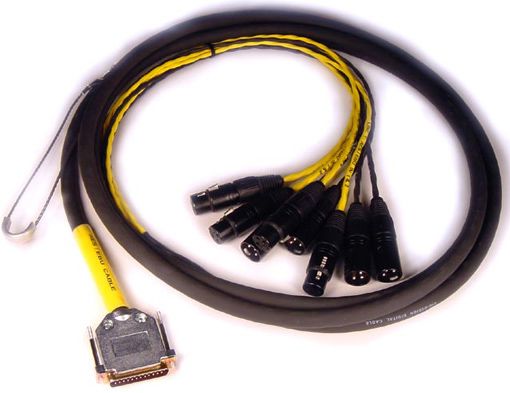 DB25-XLR M+F AES/EBU DigiSnake 12' : Pro Tools HD