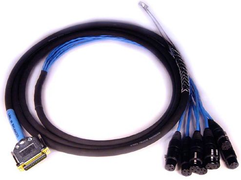 DB25-XLRF DigiSnake 12' : Pro Tools HD