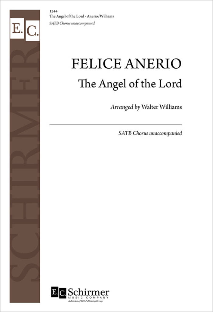 The Angel of the Lord : Angelus autem Domini