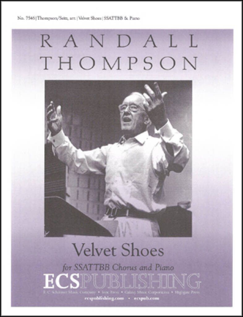 Velvet Shoes