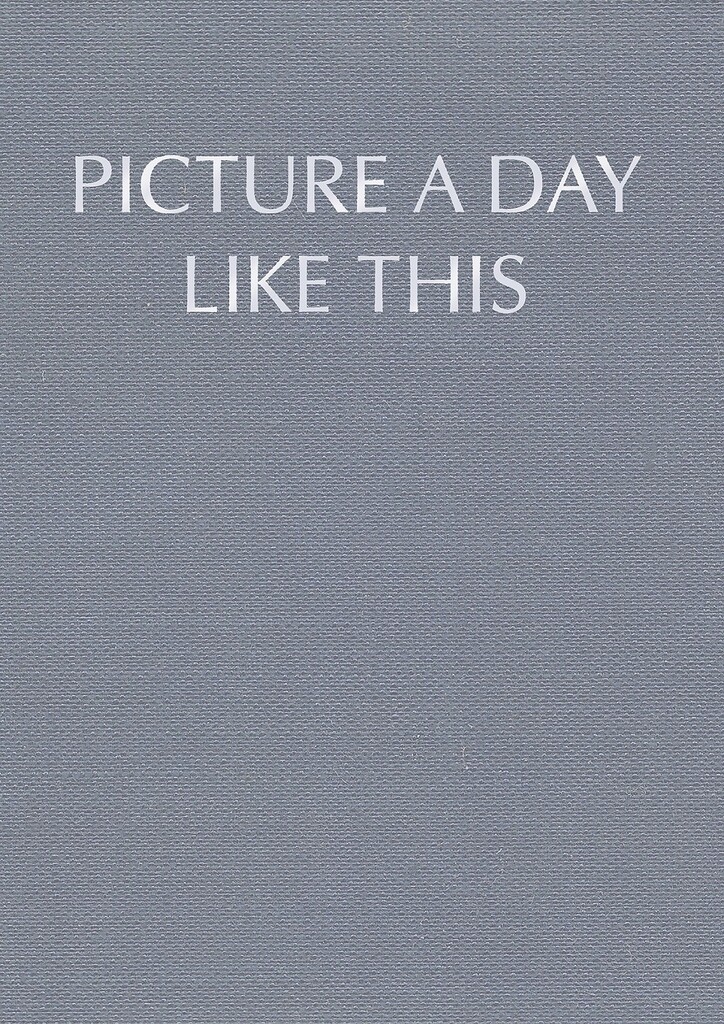 Picture a day like this (Limited Edition)