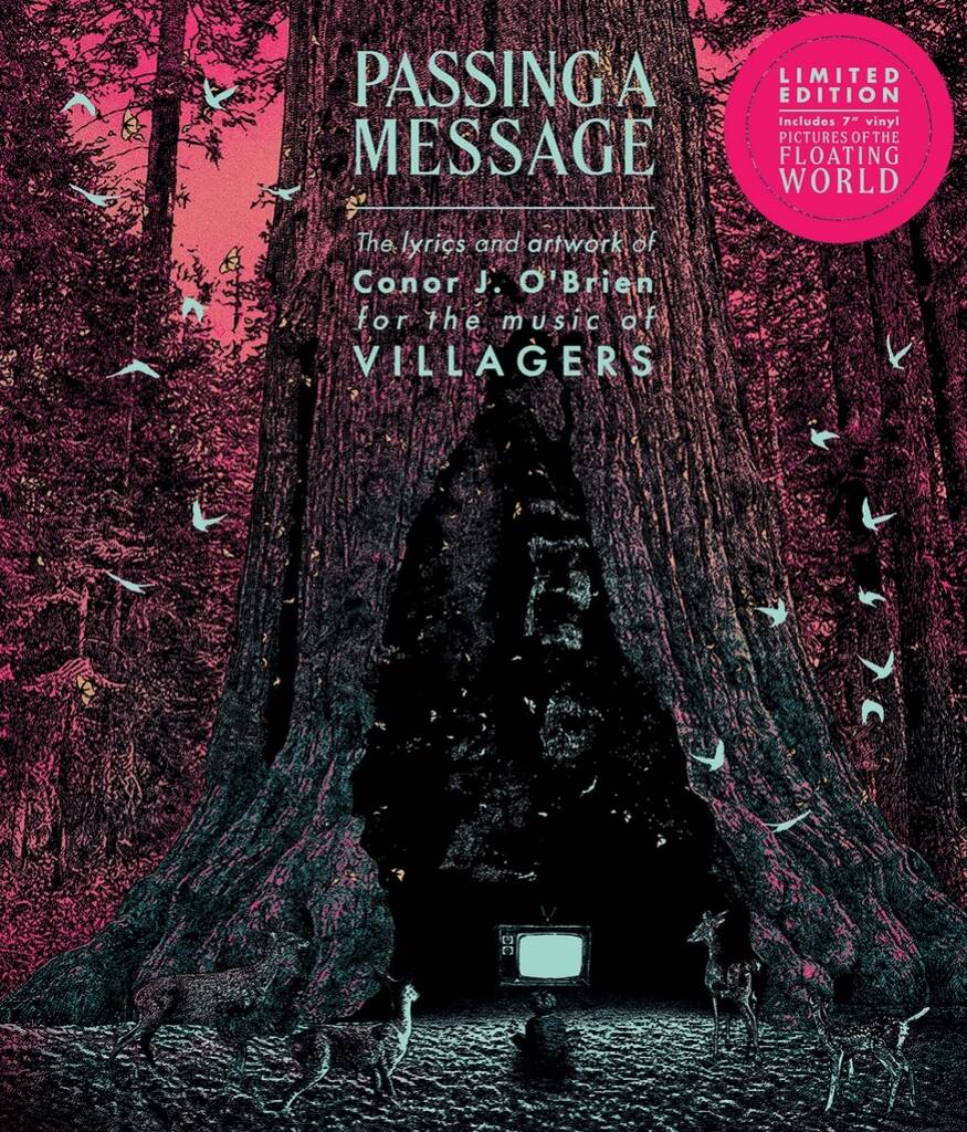 Passing a Message: Deluxe Vinyl Edition (Limited)