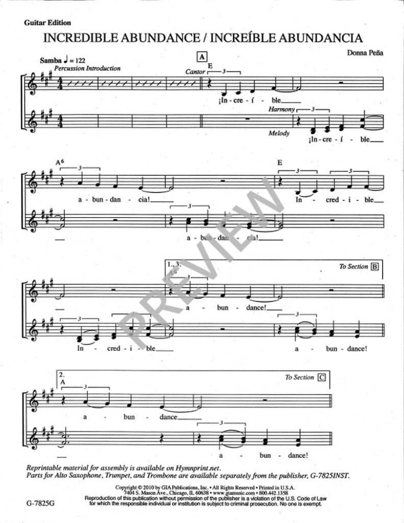 Incredible Abundance : Guitar