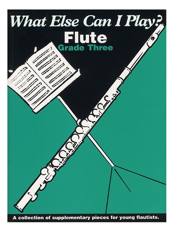 What Else Can I Play? Flute - Grade Three
