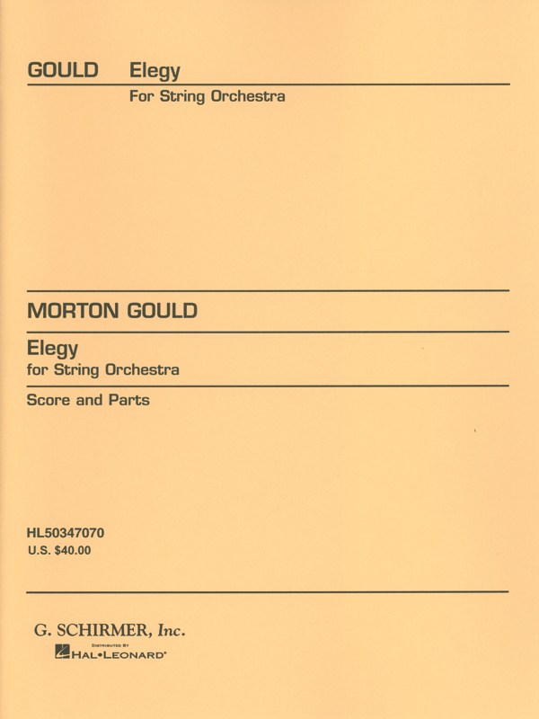 Elegy for String Orchestra