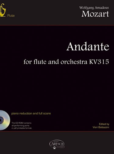 MOZART WOLFGANG AMADEUS ANDANTE FLUTE & ORCH K315 BK/CD