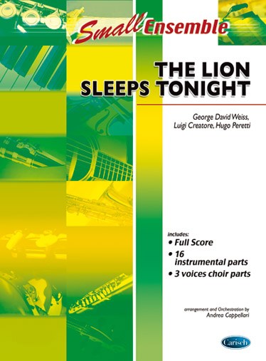 The Lion Sleeps Tonight (From The Lion King)