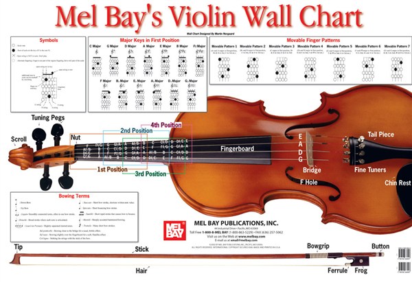 violin-wall-chart-violin-stepnote-aps