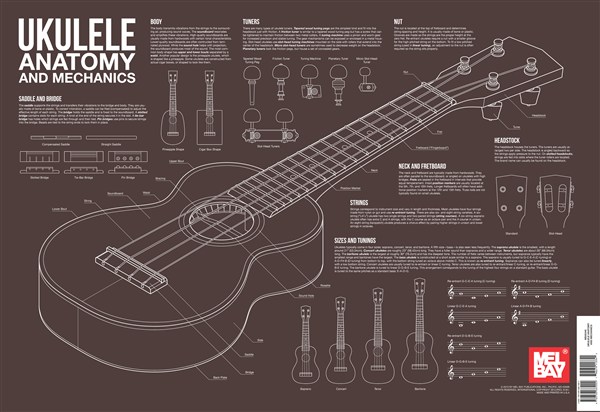 Charlie Lee-Georgescu: Ukulele Anatomy and Mechanics Wall Chart