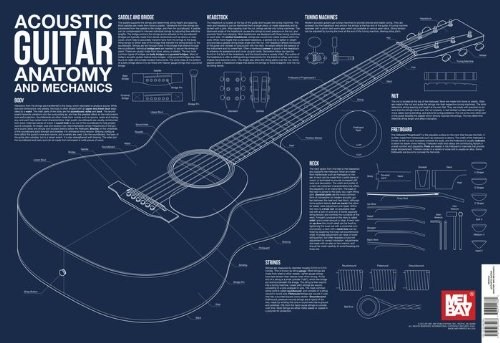 Acoustic Guitar Anatomy And Mechanics Wall Chart