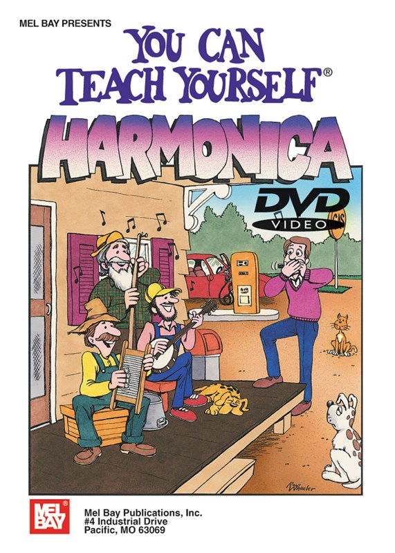YOU CAN TEACH YOURSELF HARMONICA Harmonica DVD