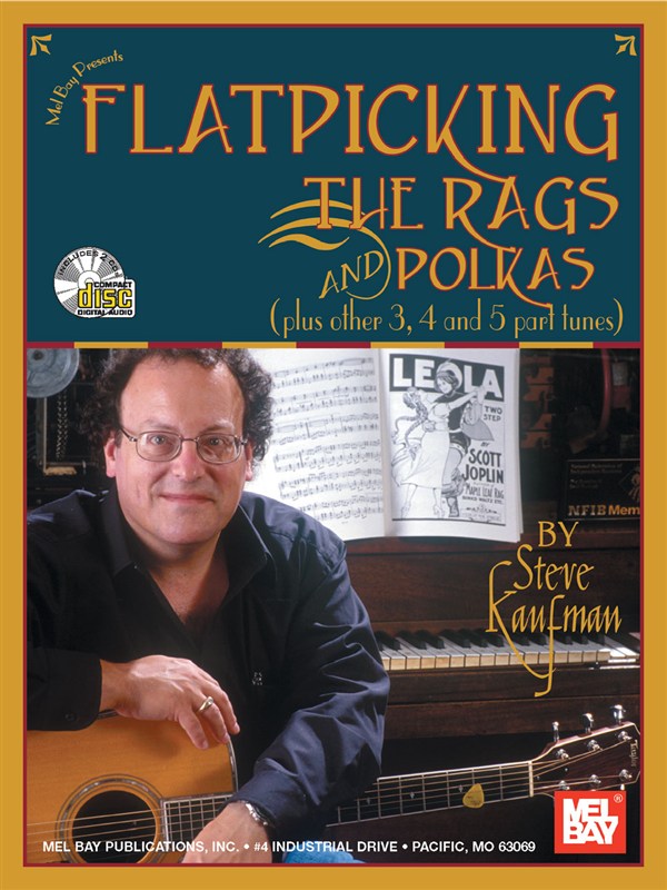 Steve Kaufman: Flatpicking The Rags And Polkas