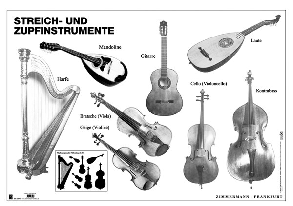 Poster Streich- Und Zupfinstrumente