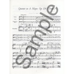 Franz Schubert: Complete Chamber Music For Pianoforte And Strings