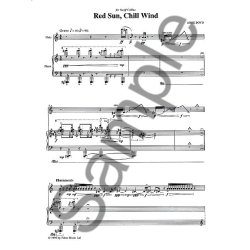 Anne Boyd: Red Sun, Chill Wind