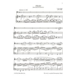 The Baroque Trombone