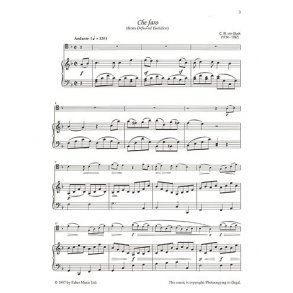 The Baroque Trombone