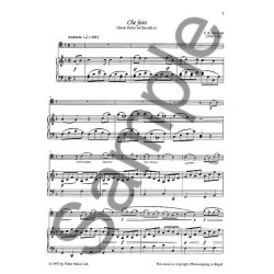 The Baroque Trombone