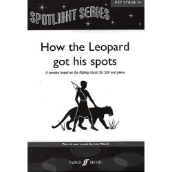 Lin Marsh: How The Leopard Got His Spots