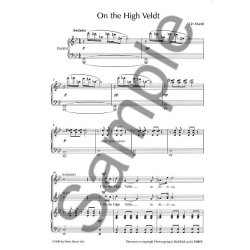 Lin Marsh: How The Leopard Got His Spots