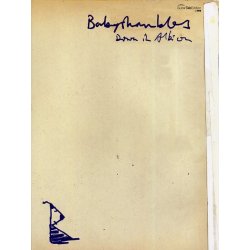 Babyshambles: Down In Albion