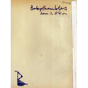 Babyshambles: Down In Albion