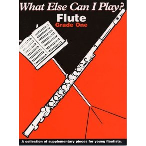 What Else Can I Play? Flute Grade One