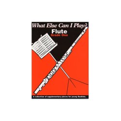What Else Can I Play? Flute Grade One