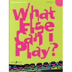 What Else Can I Play? Flute Grade Four
