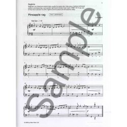 It's Never Too Late To Play: Blues, Rangs And Boogies