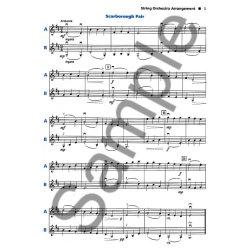 Strictly Strings: A Comprehenive String Method - Violin Book 2