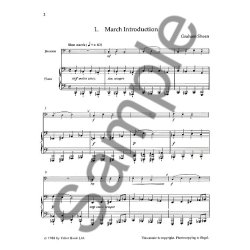 The Really Easy Bassoon Book