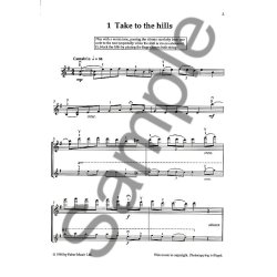 Mary Cohen: Technique Flies High! (Violin)