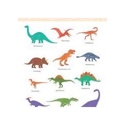 Collins Primary Music : Early Years Foundation Stage