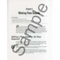 Flute For Dummies