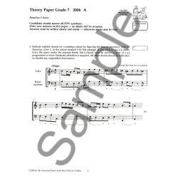 ABRSM Theory Of Music Examinations: Grade 7 (2006)