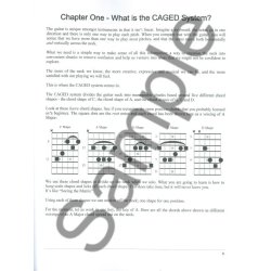 Joseph Alexander: The Caged System & 100 Licks For Blues Guitar