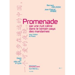 Bernard & Jean-Pascal Zielinski B.& Rabi&eacute;: Promenade pour une Nuit c&acirc;line... (Violin & Piano)