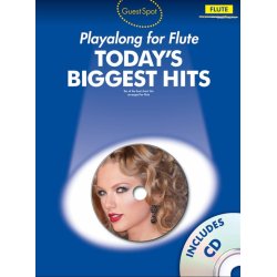 Guest Spot Today's Biggest Hits: Flute