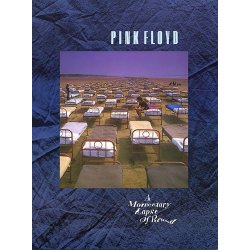 Pink Floyd: A Momentary Lapse Of Reason