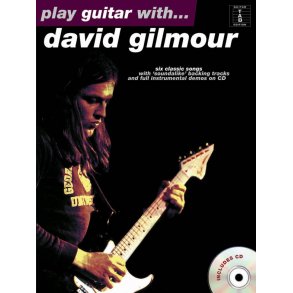 Play Guitar With... David Gilmour