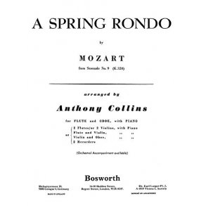 W.A. Mozart: Spring Rondo (Bosworth Amateur School Orchestra)
